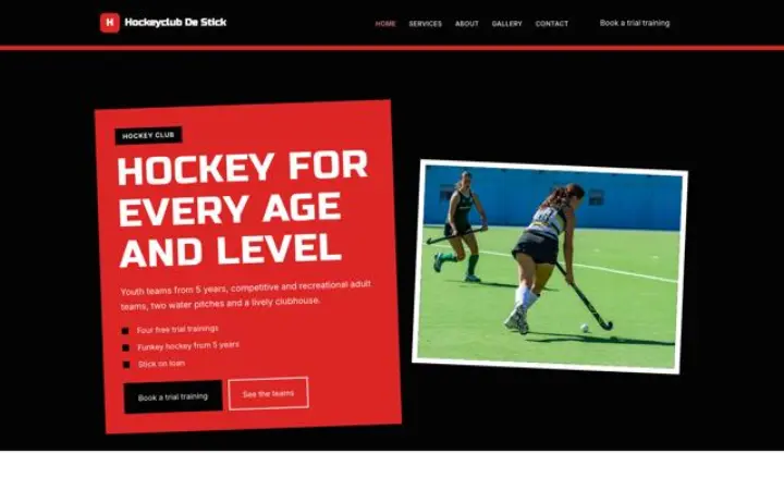 Hjemmeside til hockeyklub