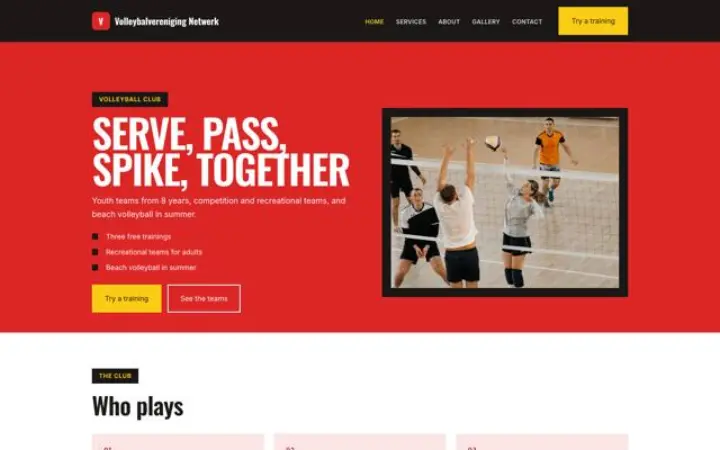 Hjemmeside til volleyballklub